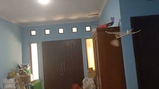 PP W34C12.5 | Terbang Pertama