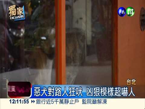 惡犬咬人隨地便溺 鄰居不堪其擾