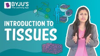 Introduction to Tissues | Class 9 I Learn with BYJU'S