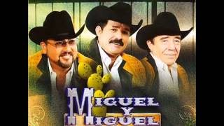 Miguel y Miguel Quisiera Ser     YouTube