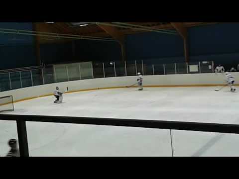 Hokkarit teki maalin