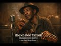 Hound Dog Taylor — Blues Under Soft Smoke