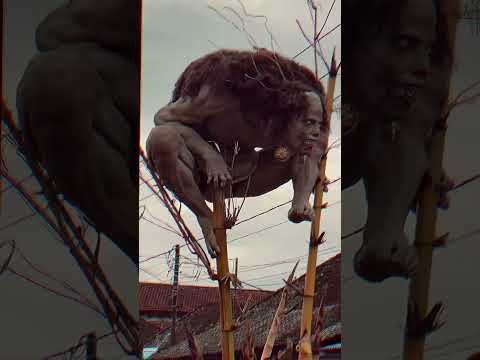 ada yang tau ogoh ogoh apa? #ogohogoh #tampaksiring