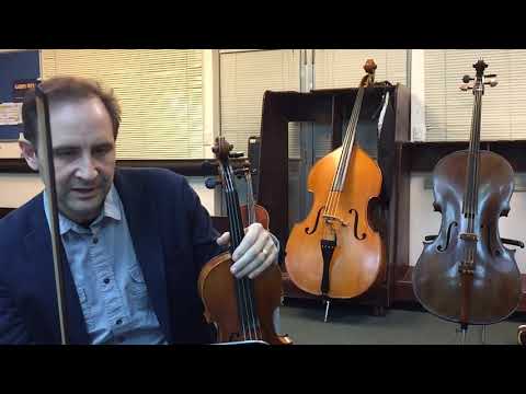 Maharaja - 2nd violin