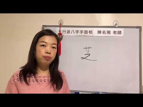 芝名字