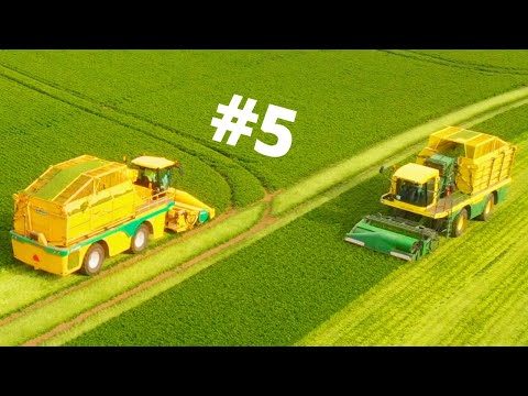 UK Harvest 2021 #5 | 2 Ploeger MK 2140s Harvest Parsley