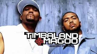 Timbaland &amp; Magoo - In Time &amp; Mr. Richards feat. Ms. Jade, Skillz &amp; Petey Pablo (Visualizer)