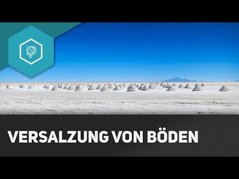 Versalzung von Böden - Bodendegradation 2