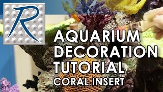 Aquariums, Zoos, and Themed Environments Video: