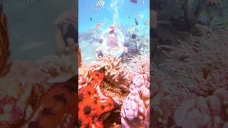 Scuba Diving in Nha Trang _ Lặn Biển ngắm san h&ocirc; tại Nha Trang, Việt Nam #beach  #scubadiving
