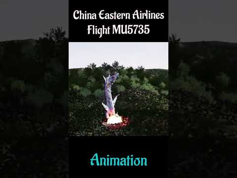 Plane Crashes Animation Vs Real Life Part 2 #edit #planecrash #shorts