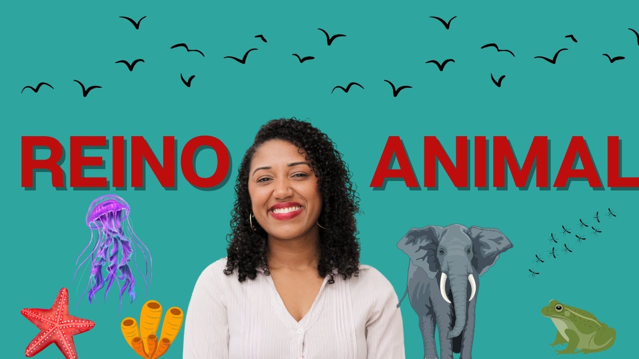 Reino Animal |Aula de Ciências com Profª Rafaela Lima