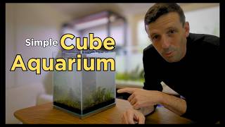 How To: I set up an easy cube (No CO2, no filter) aquarium