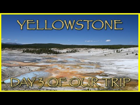 Another Incredible Day in Yellowstone – Wildlife, Hot Springs & Epic Views!