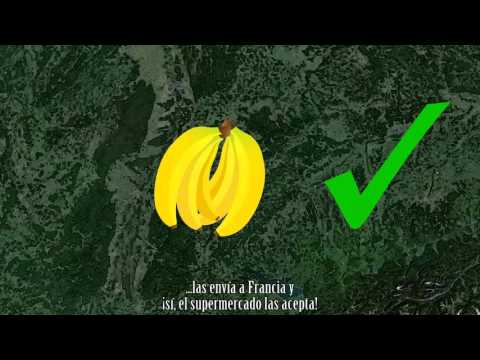 Minuto y resultados  - Segundo Premio de la Categoría General 2016