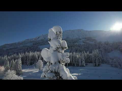 Pete Tong x Ultra Naté x LP Giobbi x Jules Buckley - Free (Do What U Want)