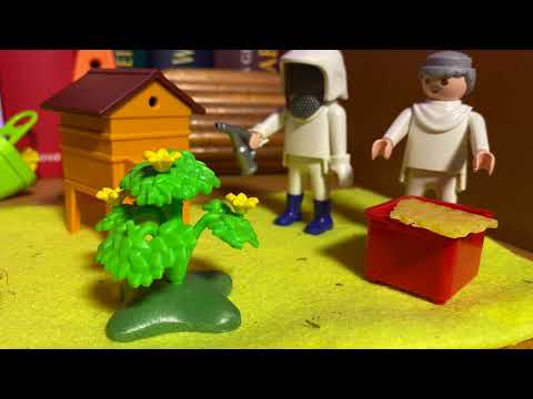 Schwarm fangen 09 05 22