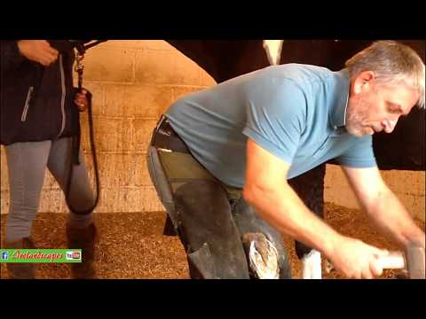 N Ireland The Horse, The Fox & The Farrier - Historical Landscape Scenery