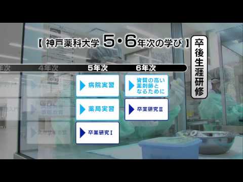 神戸薬科大学の教育