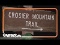 Suspected Mountain Lion Attack Kills Woman In Larimer County