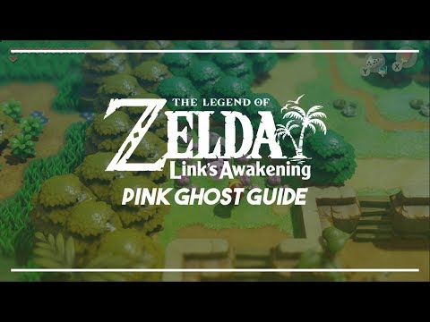 Link's Awakening Switch | Where to take the Pink Ghost