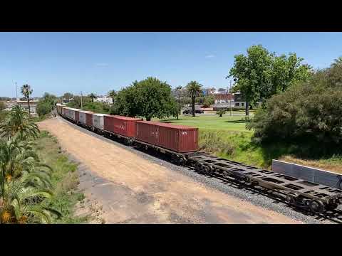 BL30 G539 on 7901V passes a very flooded Mildura Riverfront. 15/12/22.