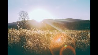 I will praise Him, still | Fernando Ortega (with lyrics)