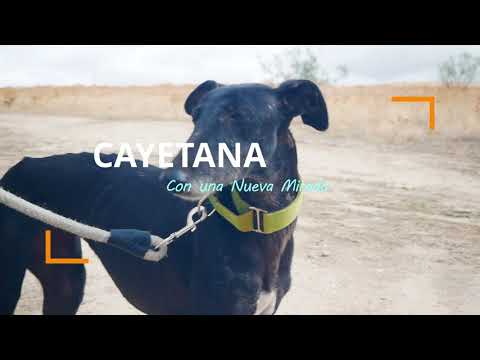 Cayetana, una vida mas digna.