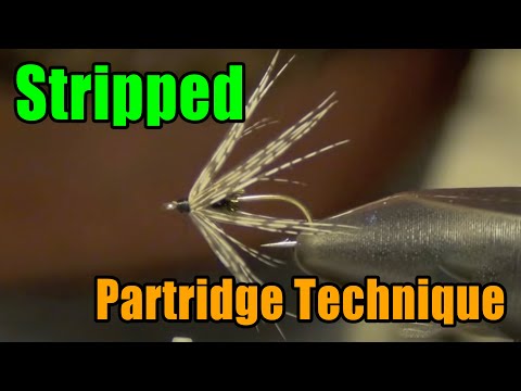 Stripped Partridge Soft Hackle Wrapping Technique - Fly Tying Basics For Beginners