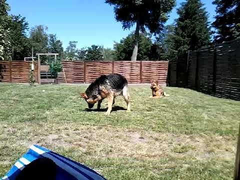 Marie-Claire Heinze Garten