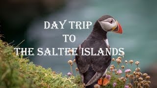 preview picture of video 'Day Trip The Saltee Islands'