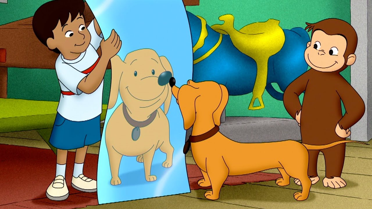 O Dilema da Altura do Hundley | Episódios Completos 🐵 George, o Curioso