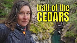 Discover the Trail of the Cedars: An Easy Hike in Montana