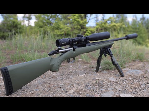 Ruger American .308
