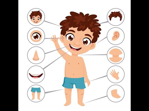 Les Parties du Corps et les 5 Sens | Apprendre le Corps Humain pour les Enfants!