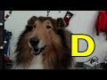 ALPHABET ANIMALS PHONICS ALPHABET SONG Part 56 Babies Toddlers Preschool K 3 Educational