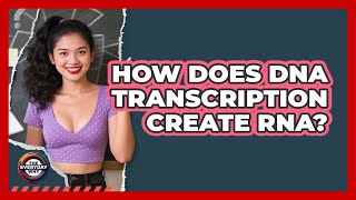 How Does DNA Transcription Create RNA? - The Everyday Why