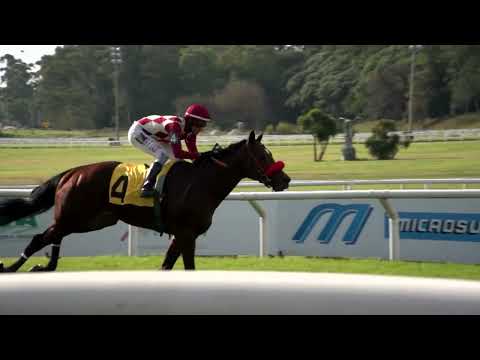 220522 c03 ENGLISH STYLE (ARG)