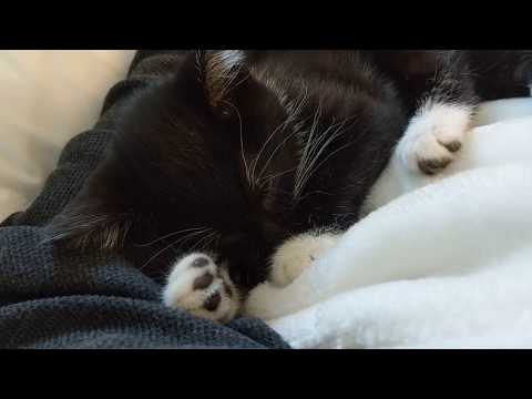 Jaina sleeping like an angel in my arms