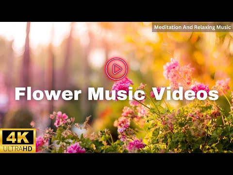 Gentle Blooming of Spring Flowers in 4K - Deep Relaxation to Spring Nature Colors & Sounds