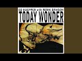 Today Wonder