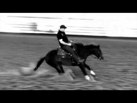 RIO KILLER GUN - Centenario Wimpy first foal crop!