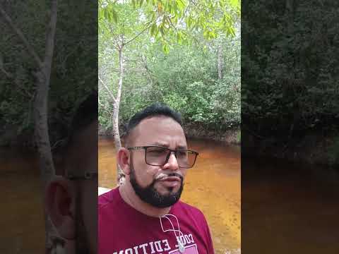 #povoado campinho Nina Rodrigues Maranhão 🇧🇷