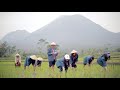 Iklan Kalpanax Salep 2017