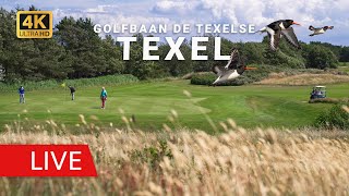 Live Webcam Texel: Golfbaan De Texelse | Uitzicht Golf Course (Livecam Golfplatz & Dünen) live webcam