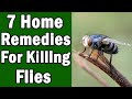 7 Home Remedies For Killing House Flies