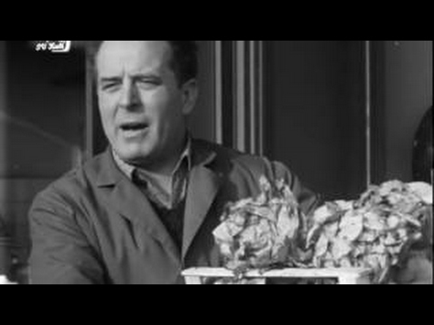 Der Großmarkt Nürnberg (TV Doku, BRD 1965)