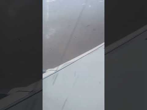 Vista da asa do Airbus A320 - Air China - Aproximando-se do Aeroporto Internacional de Shanghai Pudong