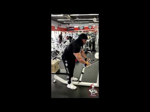 BIG RAMY - BACK WORKOUT