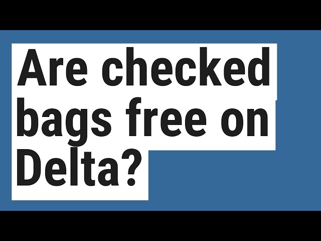 delta free checked bag